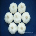 Paquete de malla suelta de 20 Kg. Paquete de ajo blanco puro en China